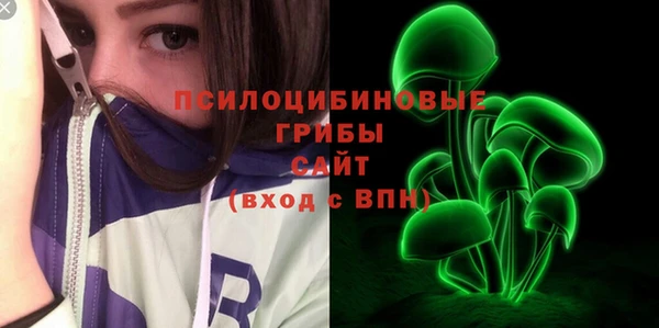 спиды Алексин