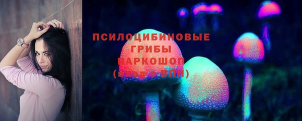 МДПВ Алексеевка