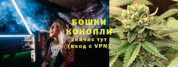 крисы Нея