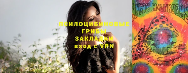 альфа пвп Армянск