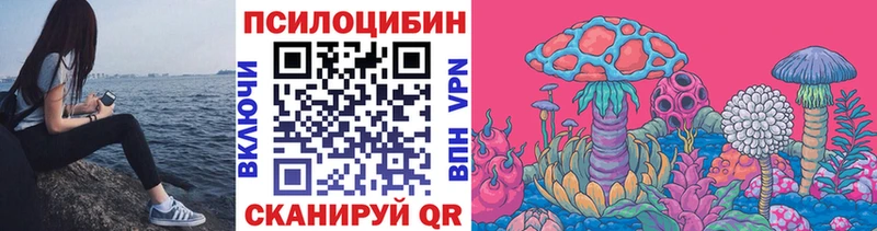 Псилоцибиновые грибы Psilocybine cubensis хочу Арсеньев