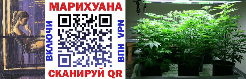 Шишки марихуана Bruce Banner Арсеньев